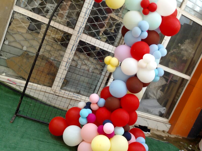 step by step guild for beginners on balloon decor